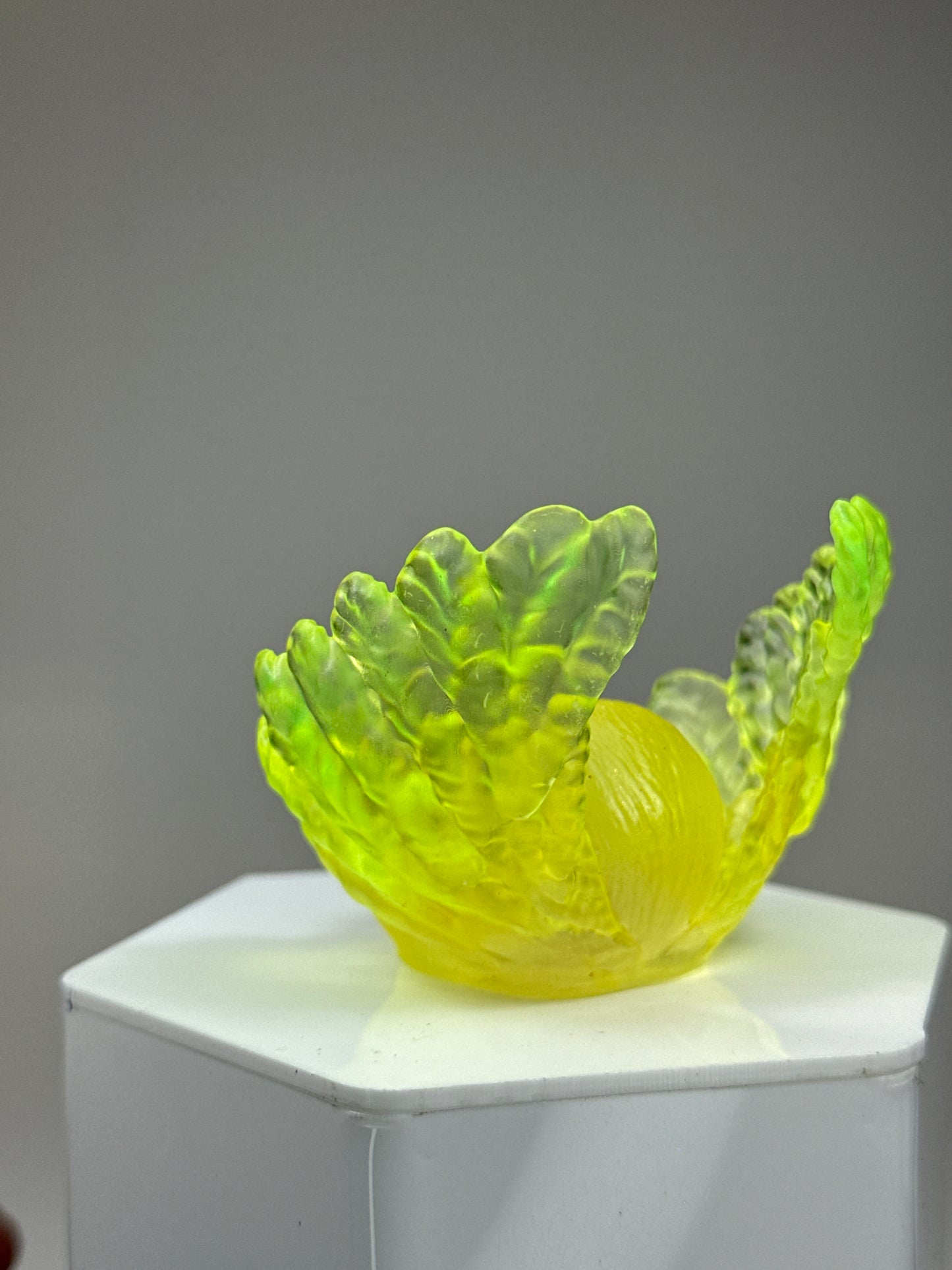 Cherub Ape: Yellow and Gold