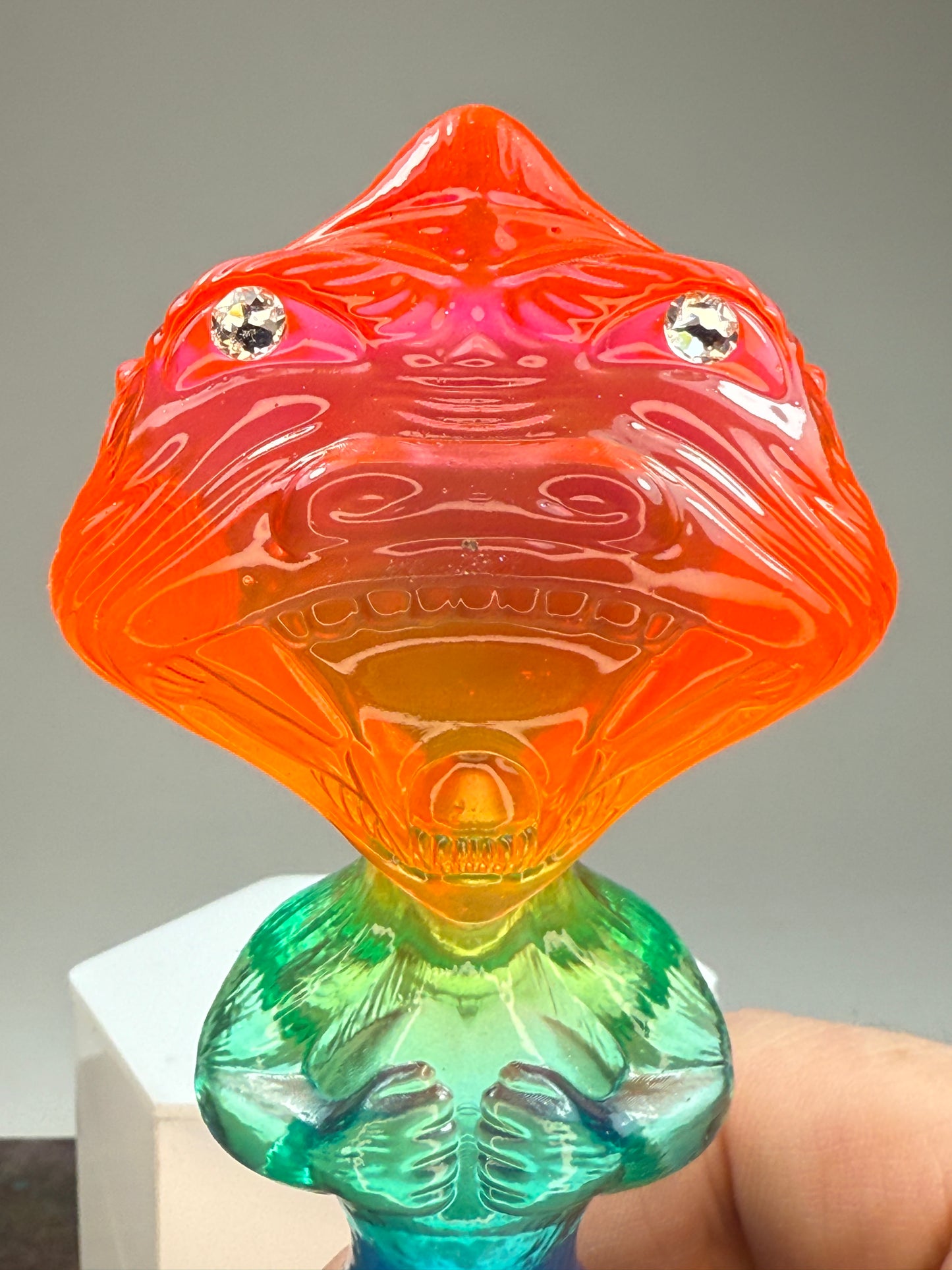 Fisheye Ape: Transparent Rainbow