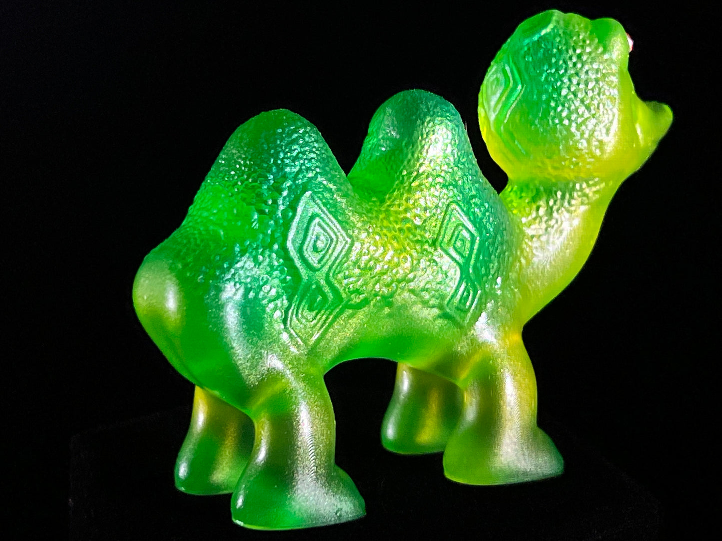 Camel Crocodile: Mister Moss