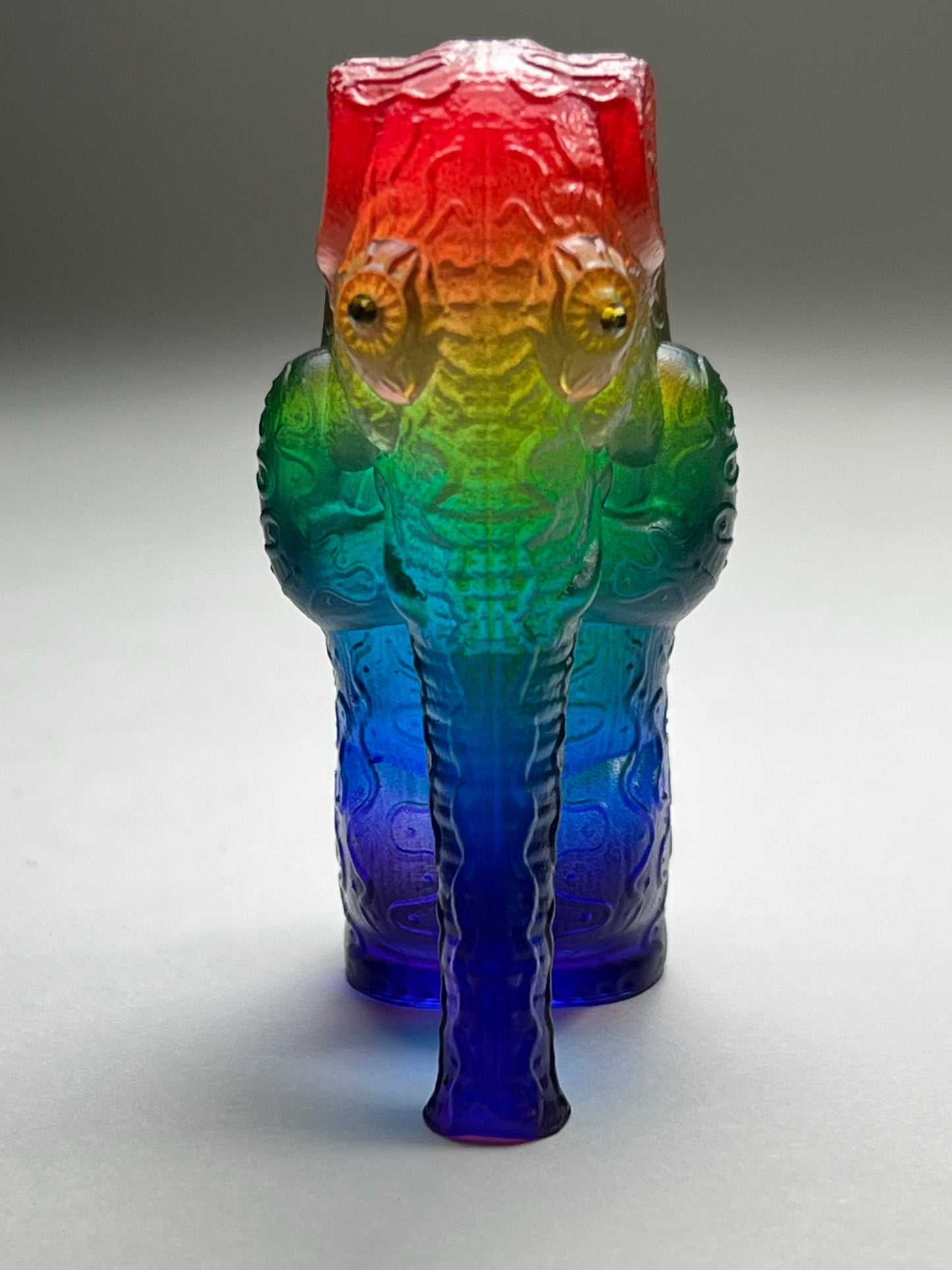 After Elephant: Rainbow Vision