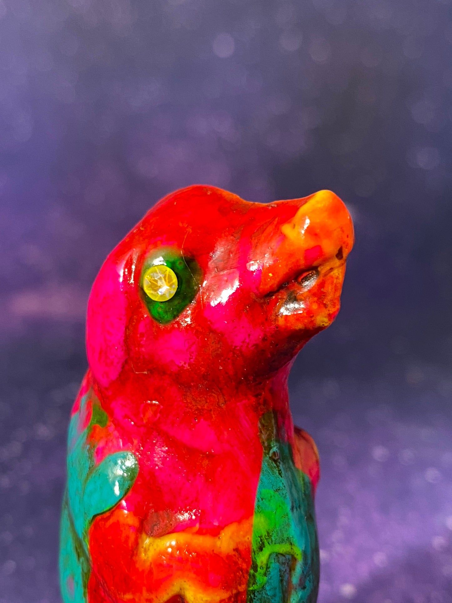 Mystery Pig of the Dark Valley