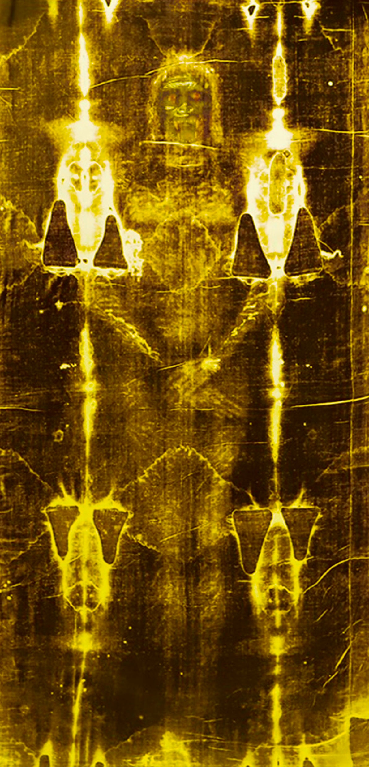 Ape Shroud Glow In The Dark Stickers, Set Of 4