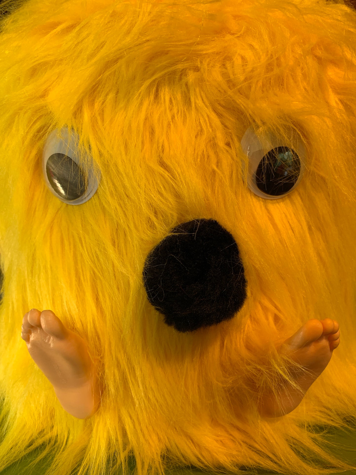 Biggish Dimrot: Yellow with feet and hands