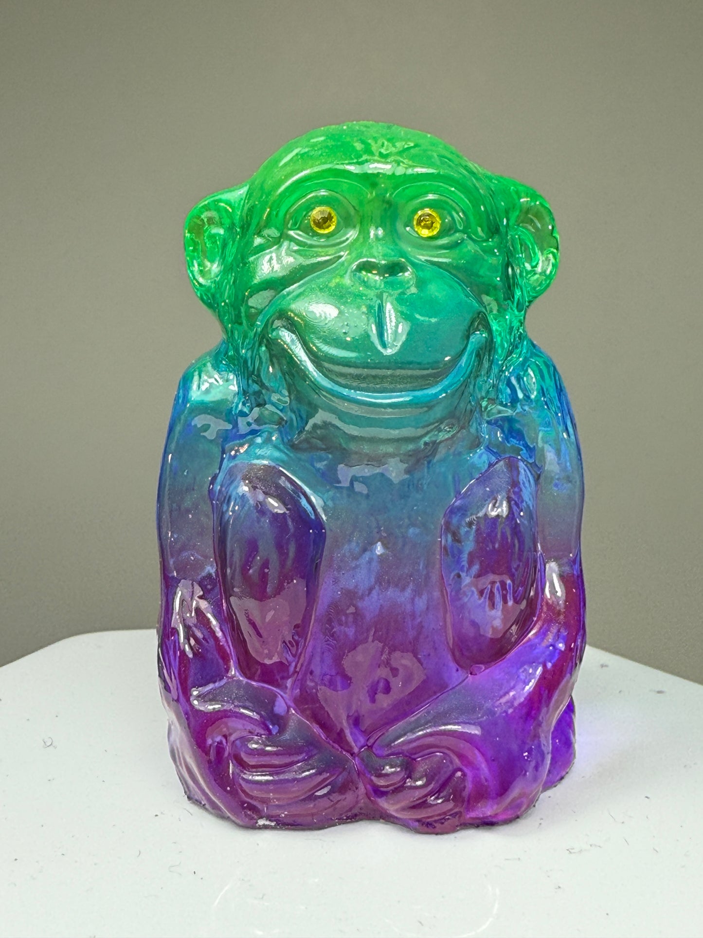 Sitting Monkey: Rainbow Choice