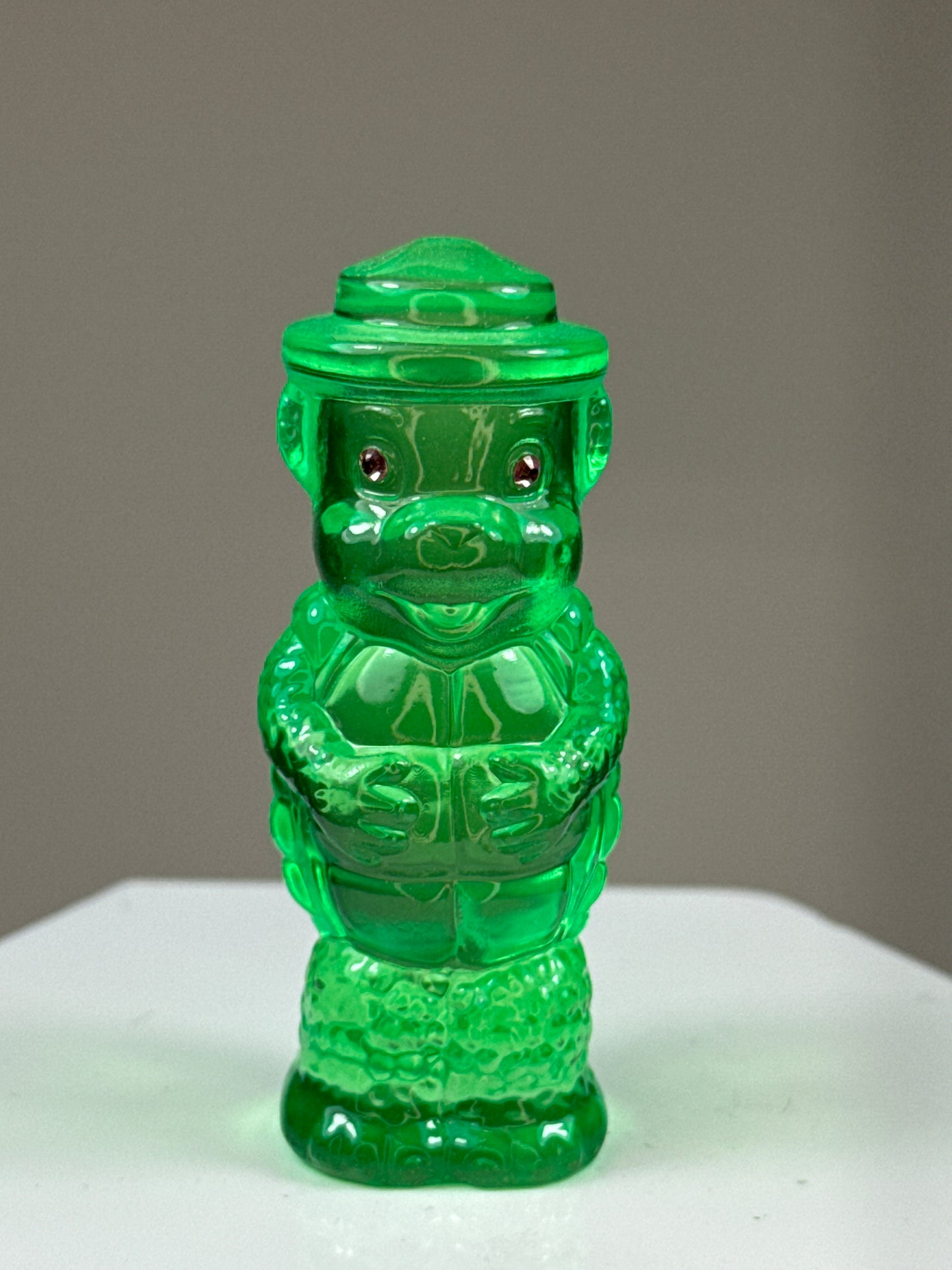 Bear Turtle: Rainbow Choice