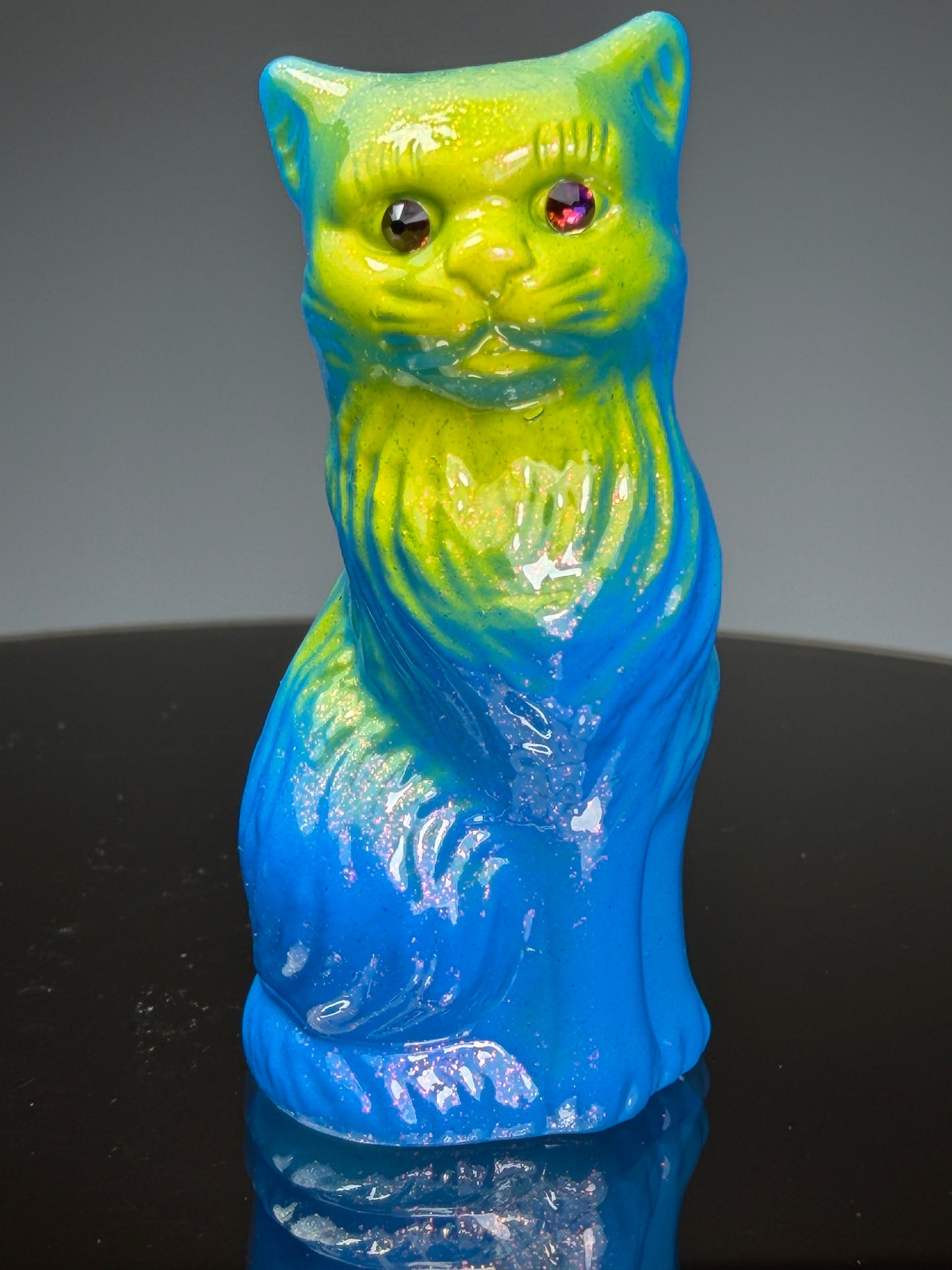 Cat: Rainbow Choice