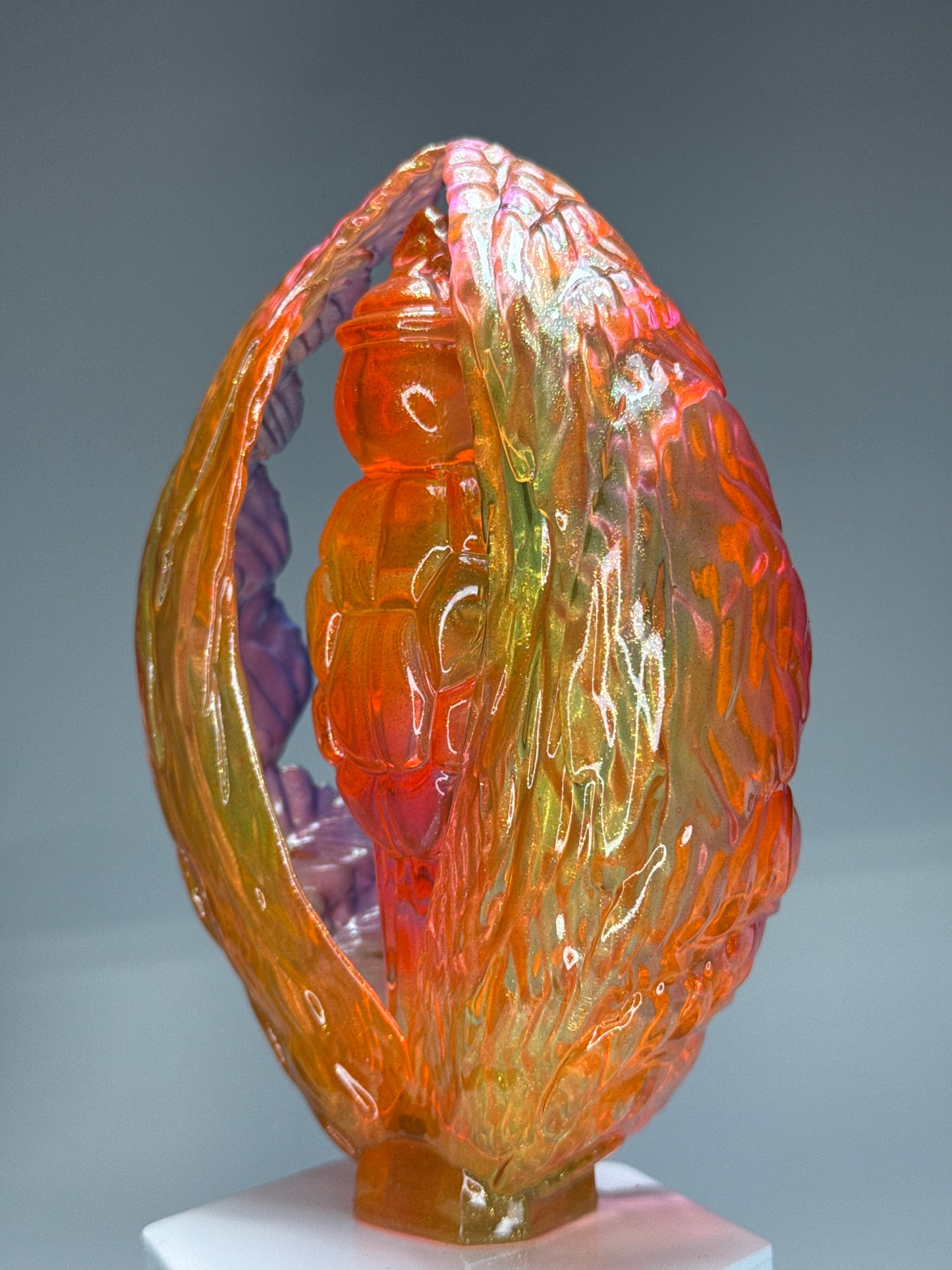 Turtle at the End of Days: Burnt Hot