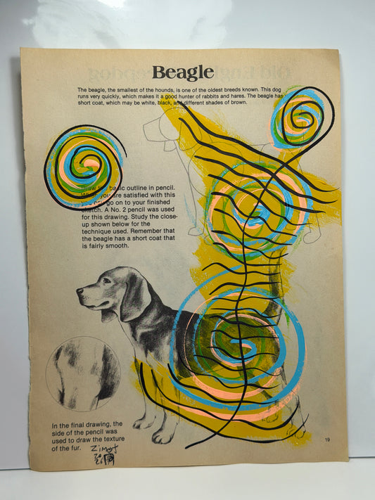 (How to Draw) Beagle