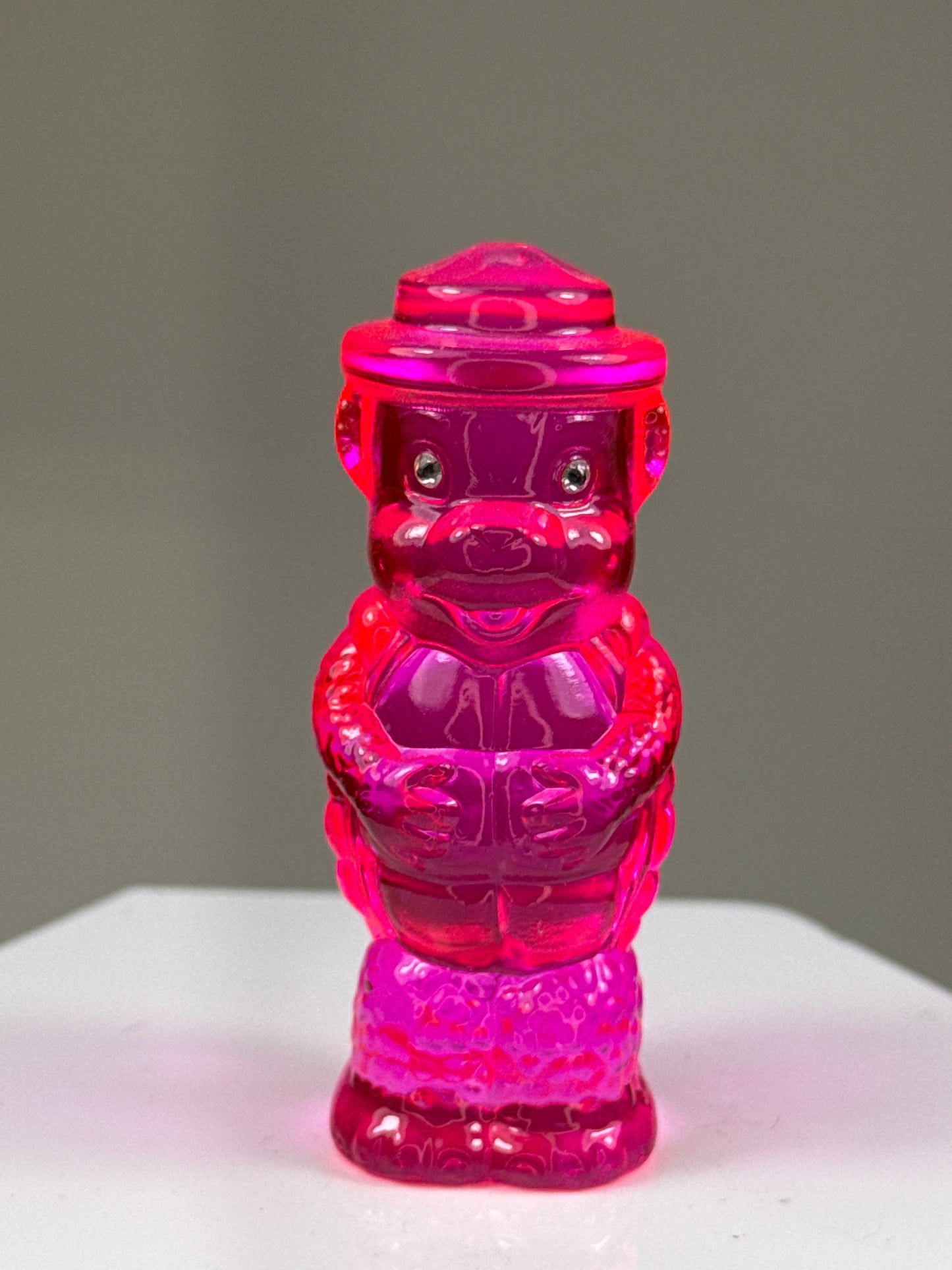 Bear Turtle: Rainbow Choice