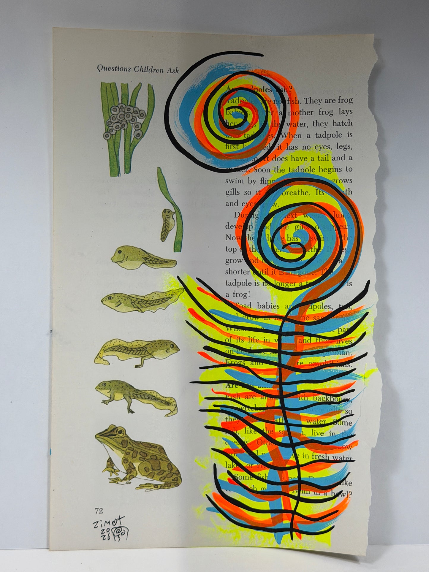 Children Ask: Tadpoles