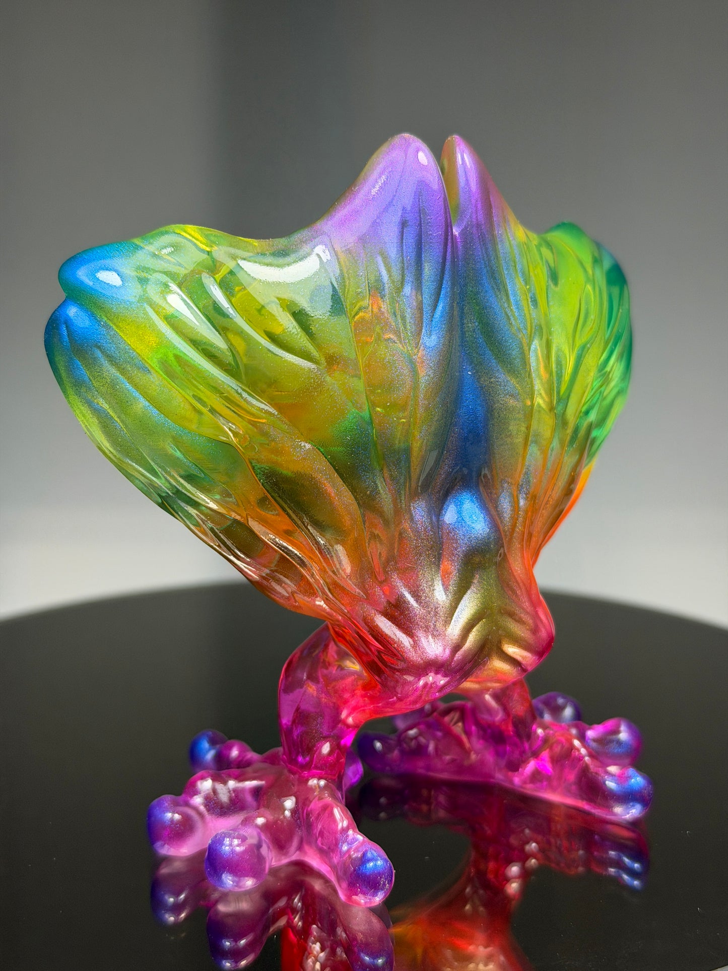 Geef: Cosmic Colors