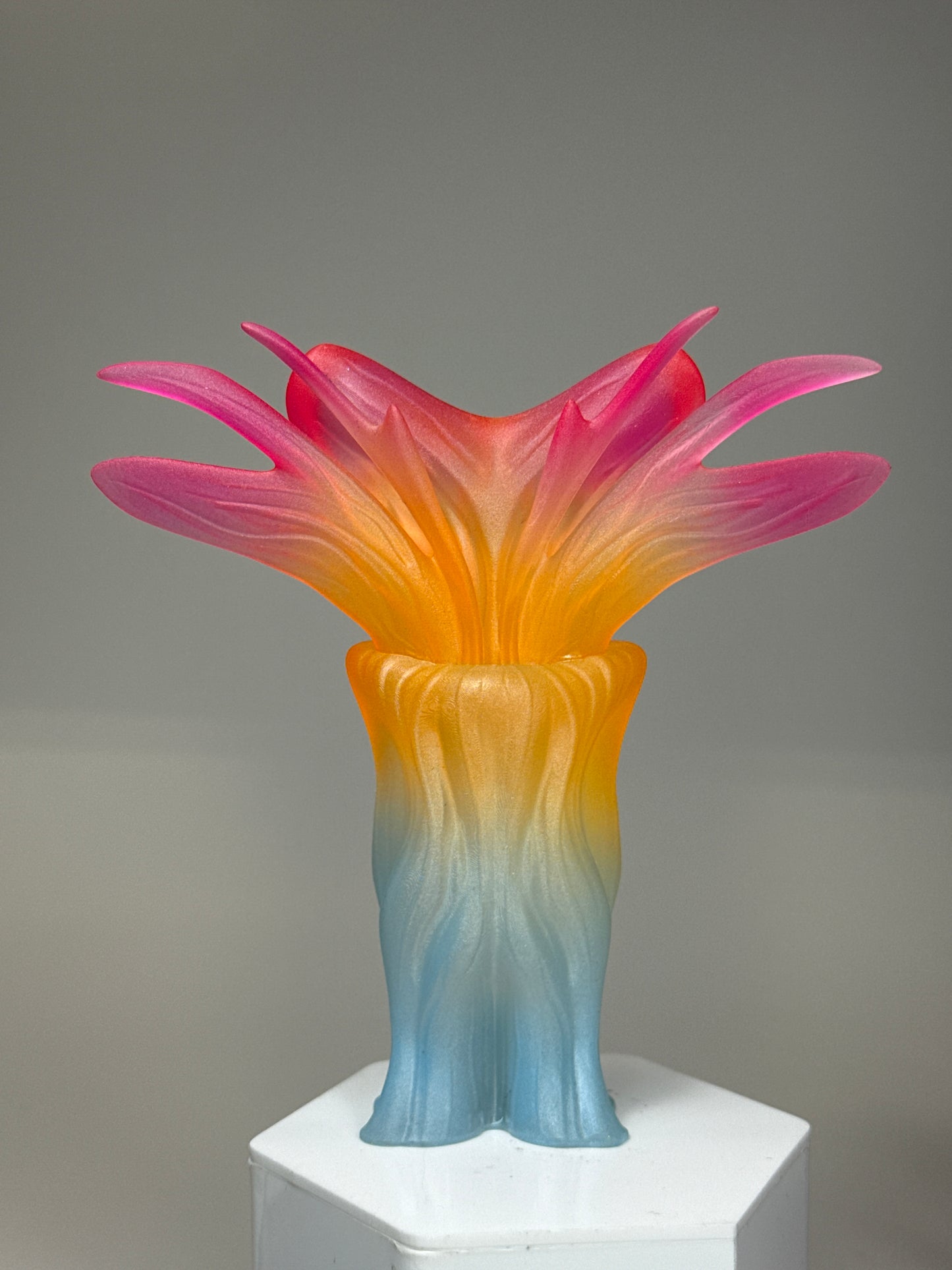 Inspektor Fripp: Soft