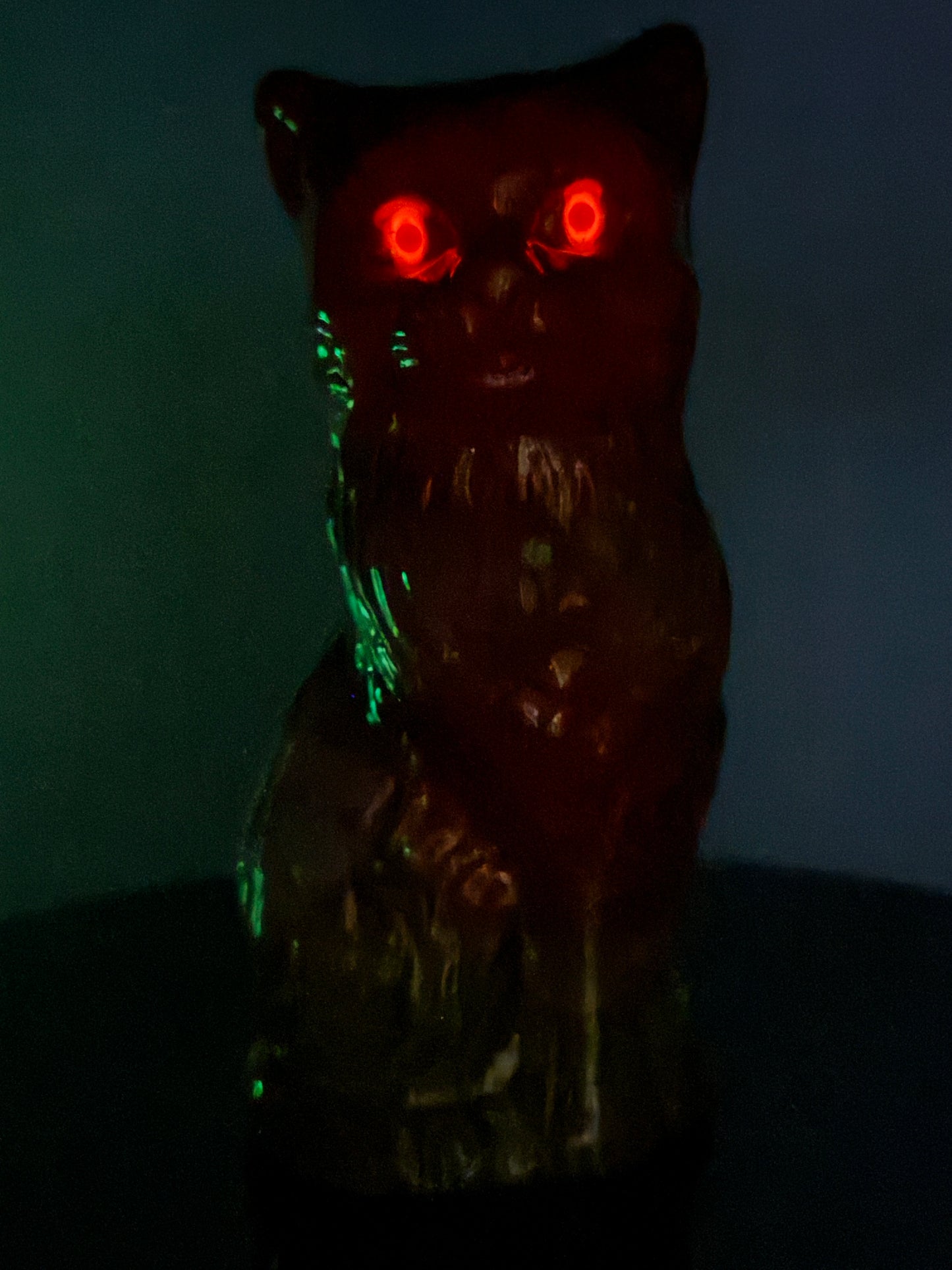 Cat: Glow Eyes Orangeade