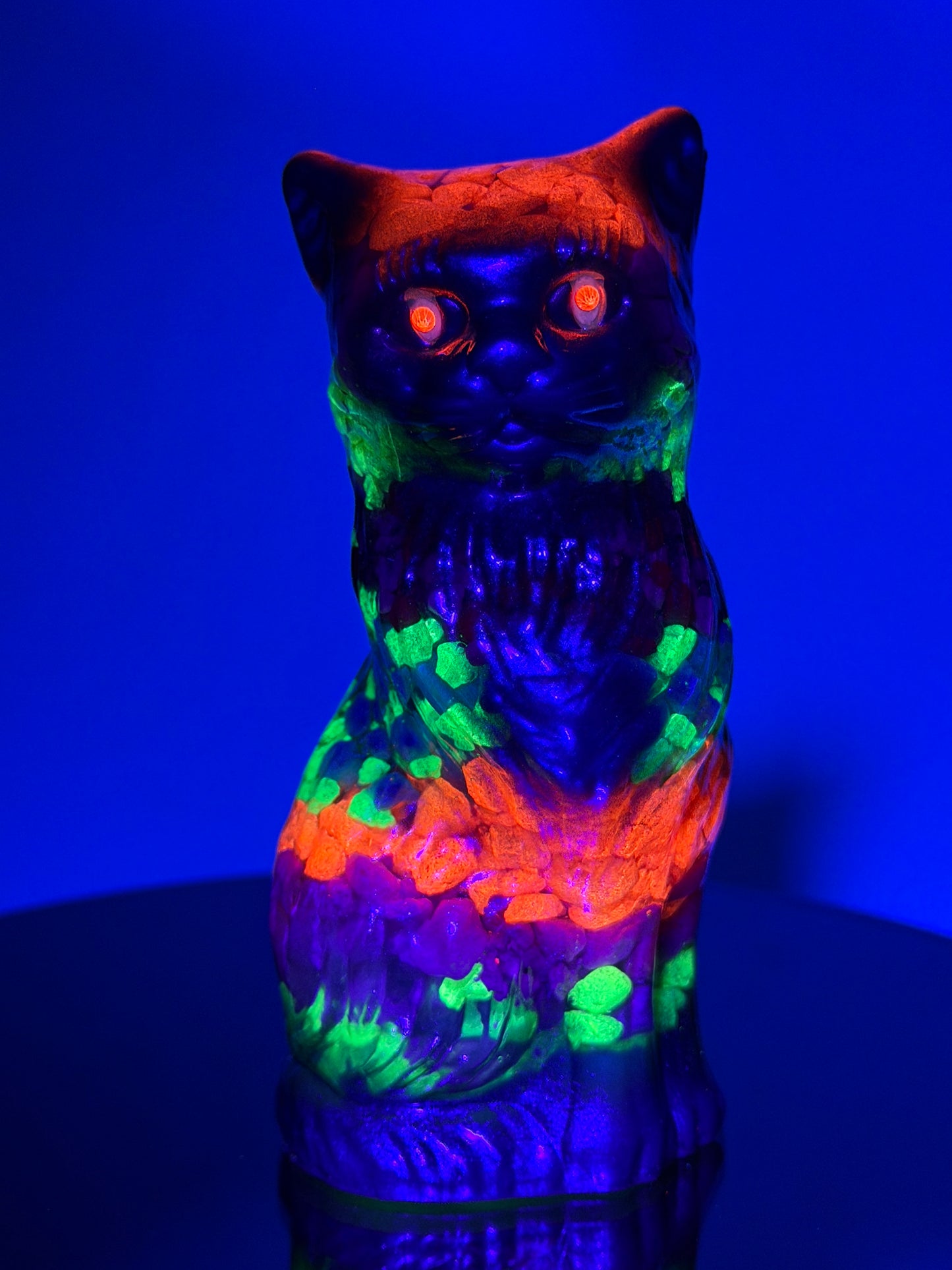 Cat: Rocky Glow Eyes
