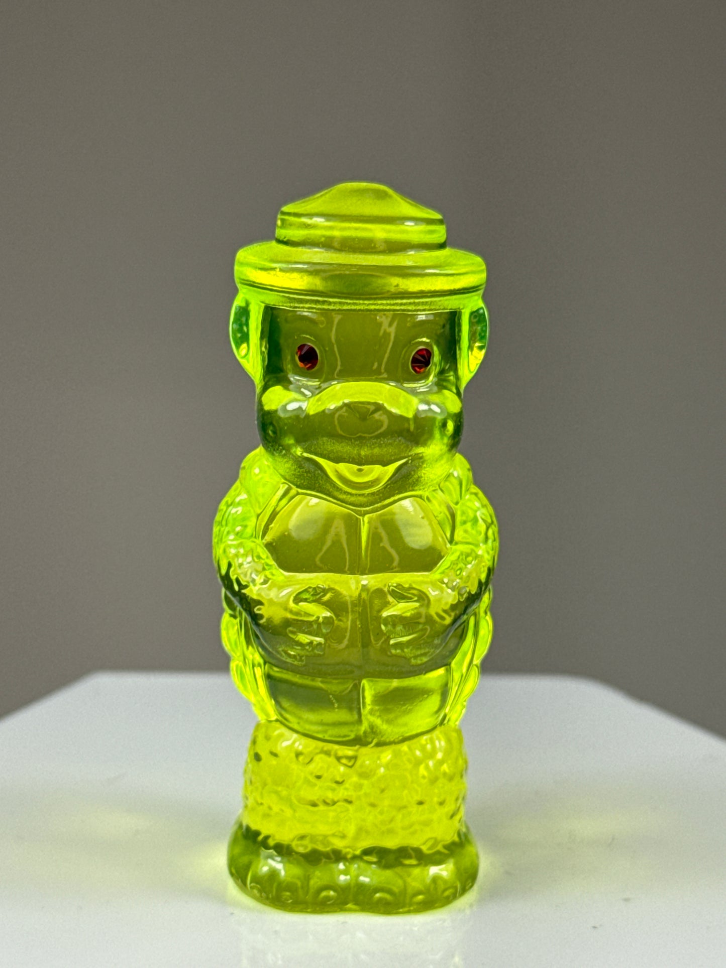 Bear Turtle: Rainbow Choice