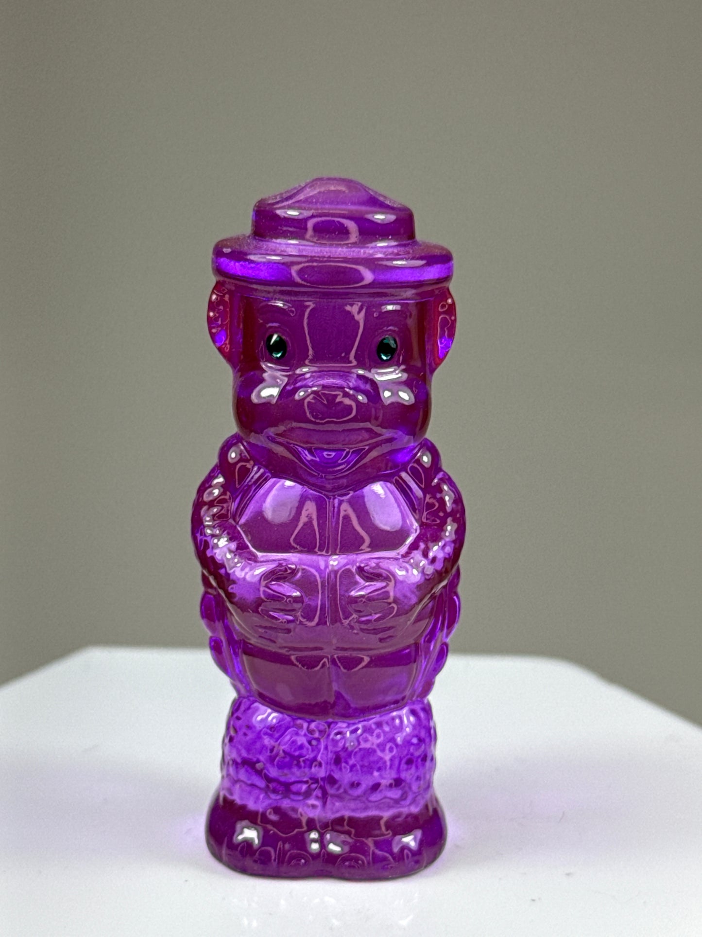 Bear Turtle: Rainbow Choice