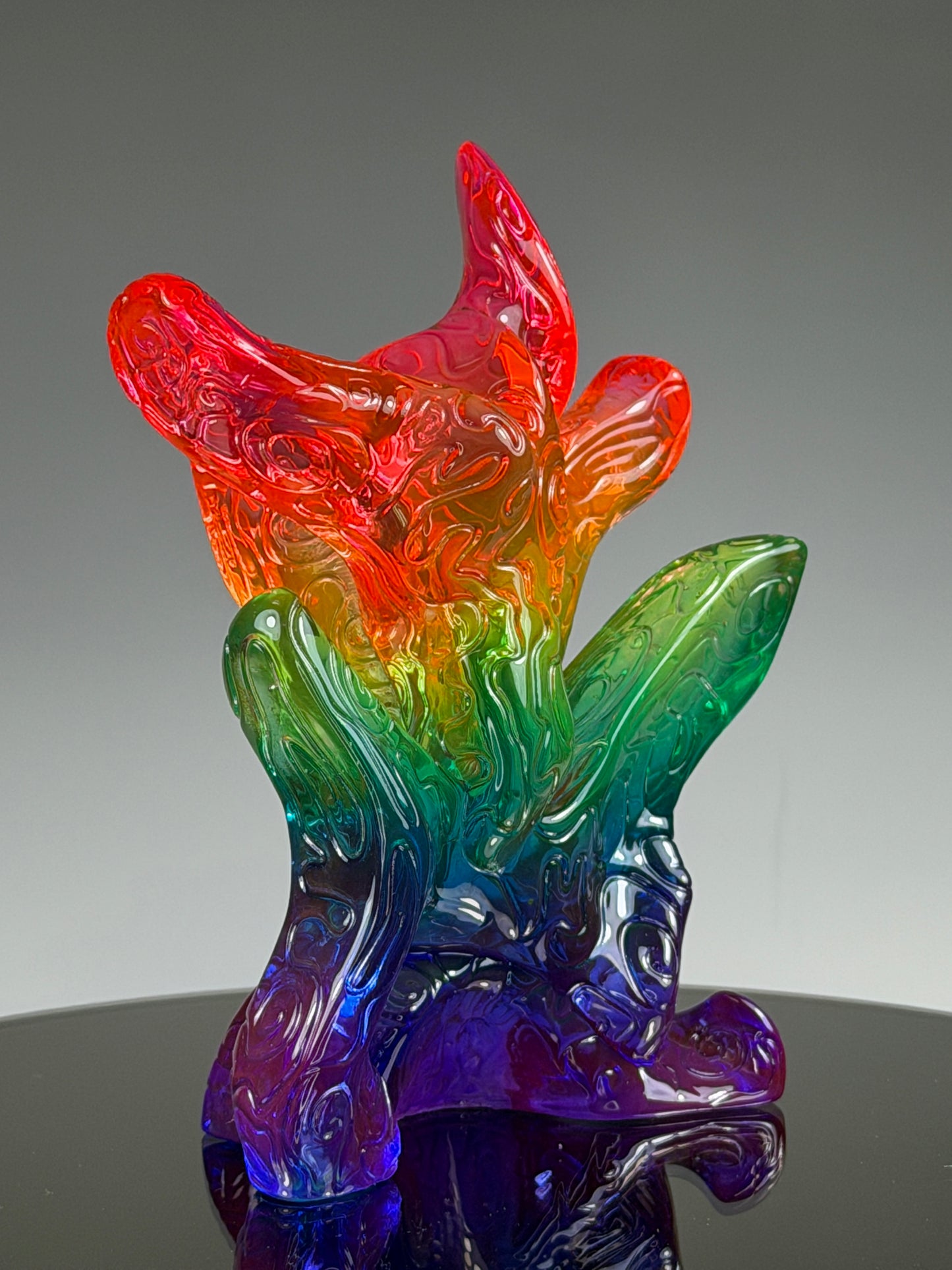 Still life Number 31: Transparent Rainbow