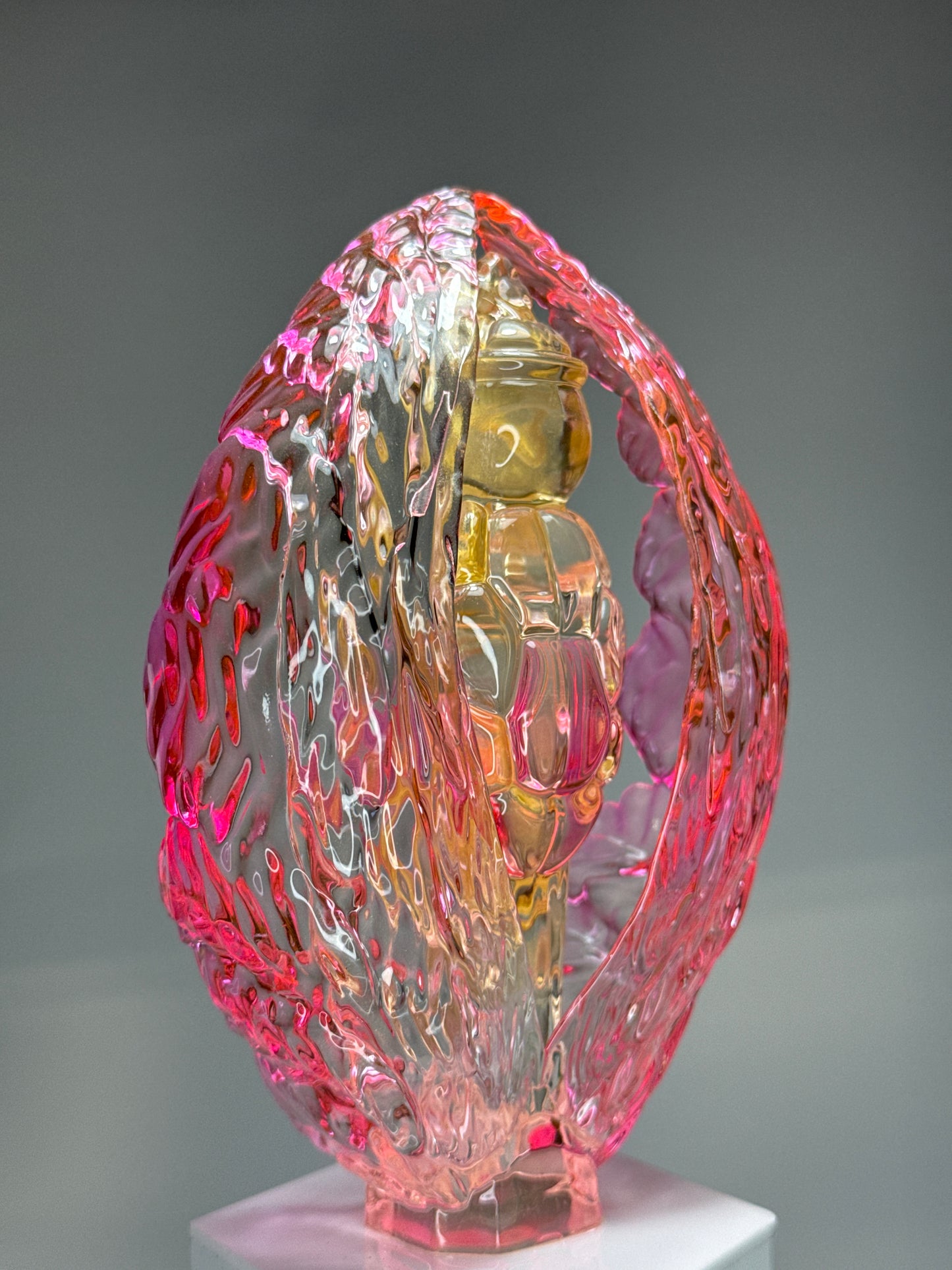 Turtle at the End of Days: Pink/Gold/Clear