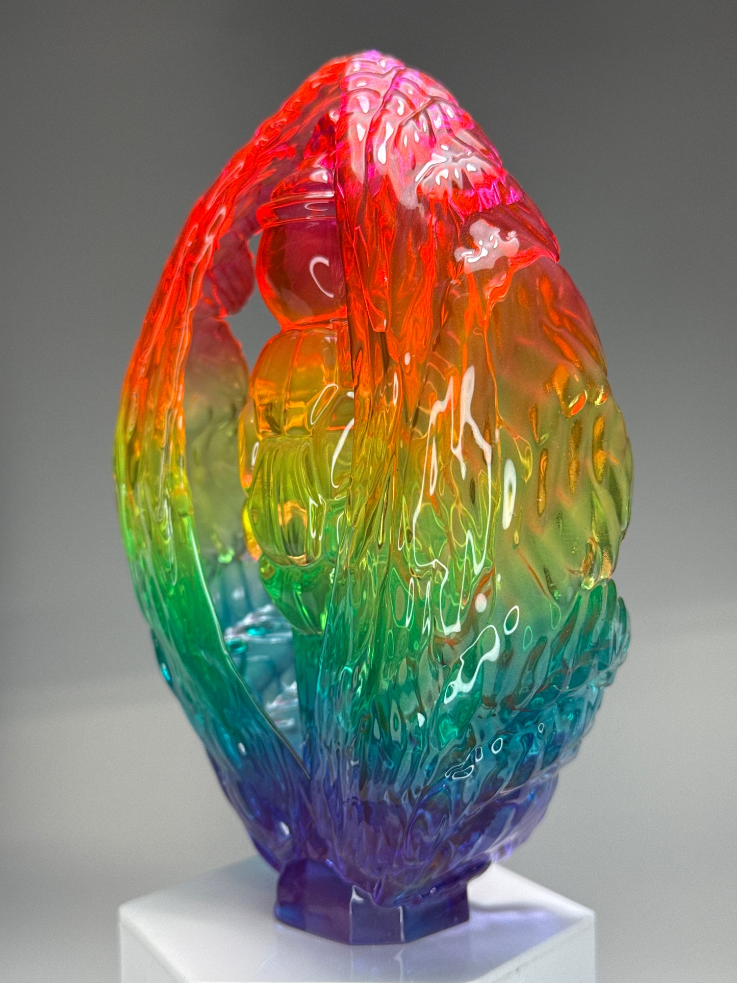 Turtle at the End of Days: Transparent Rainbow