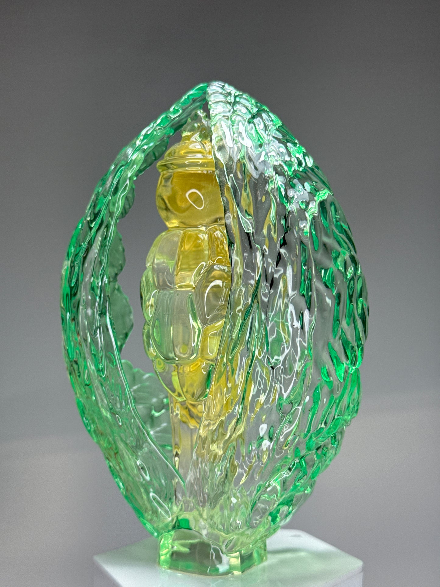 Turtle at the End of Days: Green/Gold/Clear