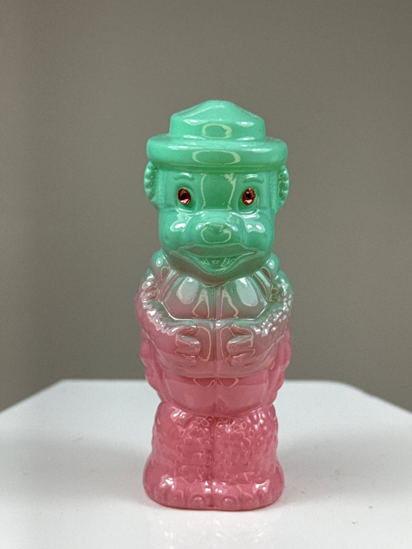 Bear Turtle: Rainbow Choice