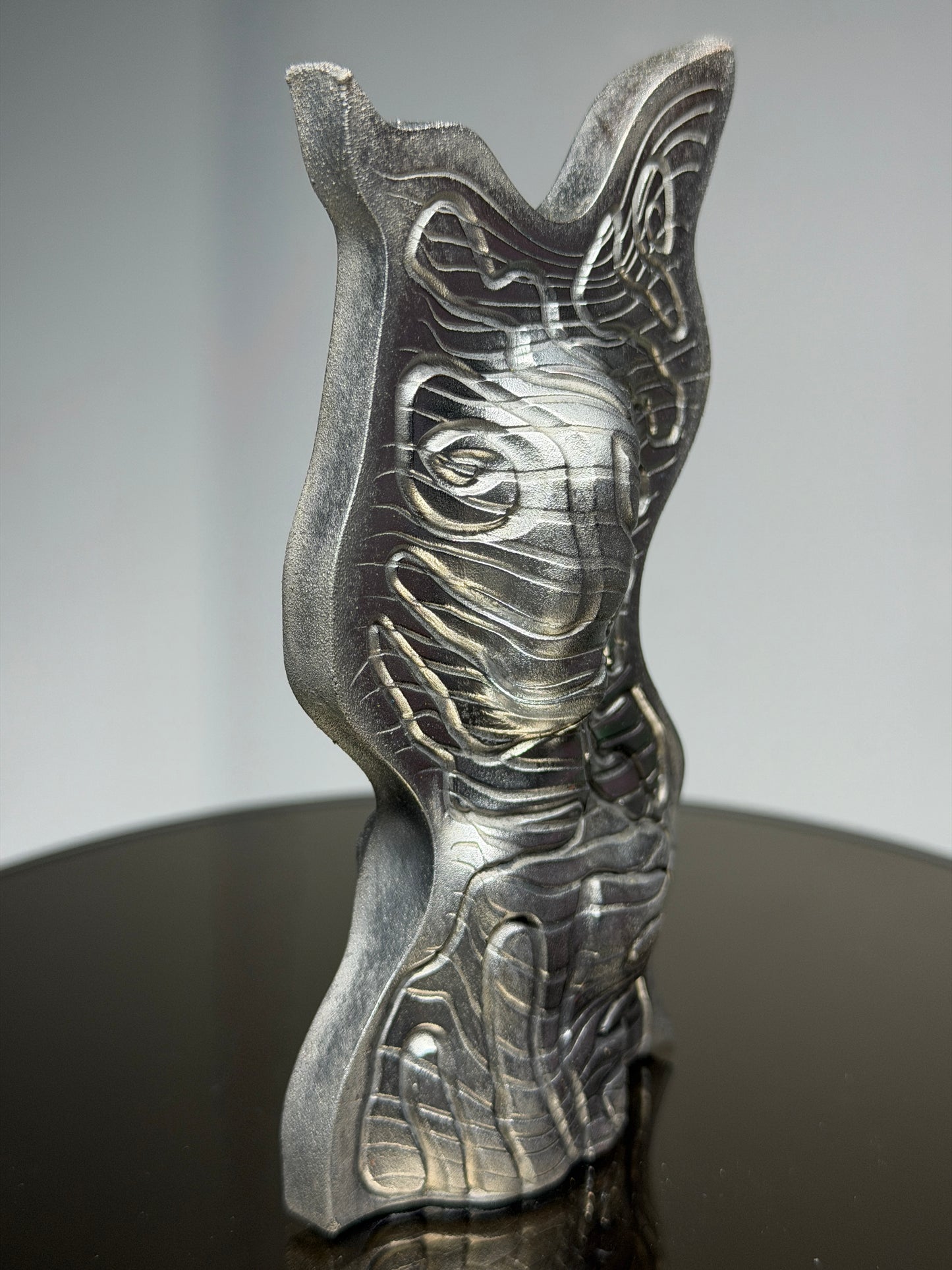Hard Edge Soft (Portrait): Chrome Plated Vesperant