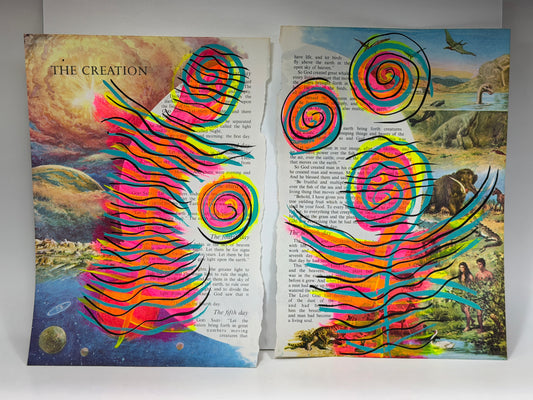The Creation