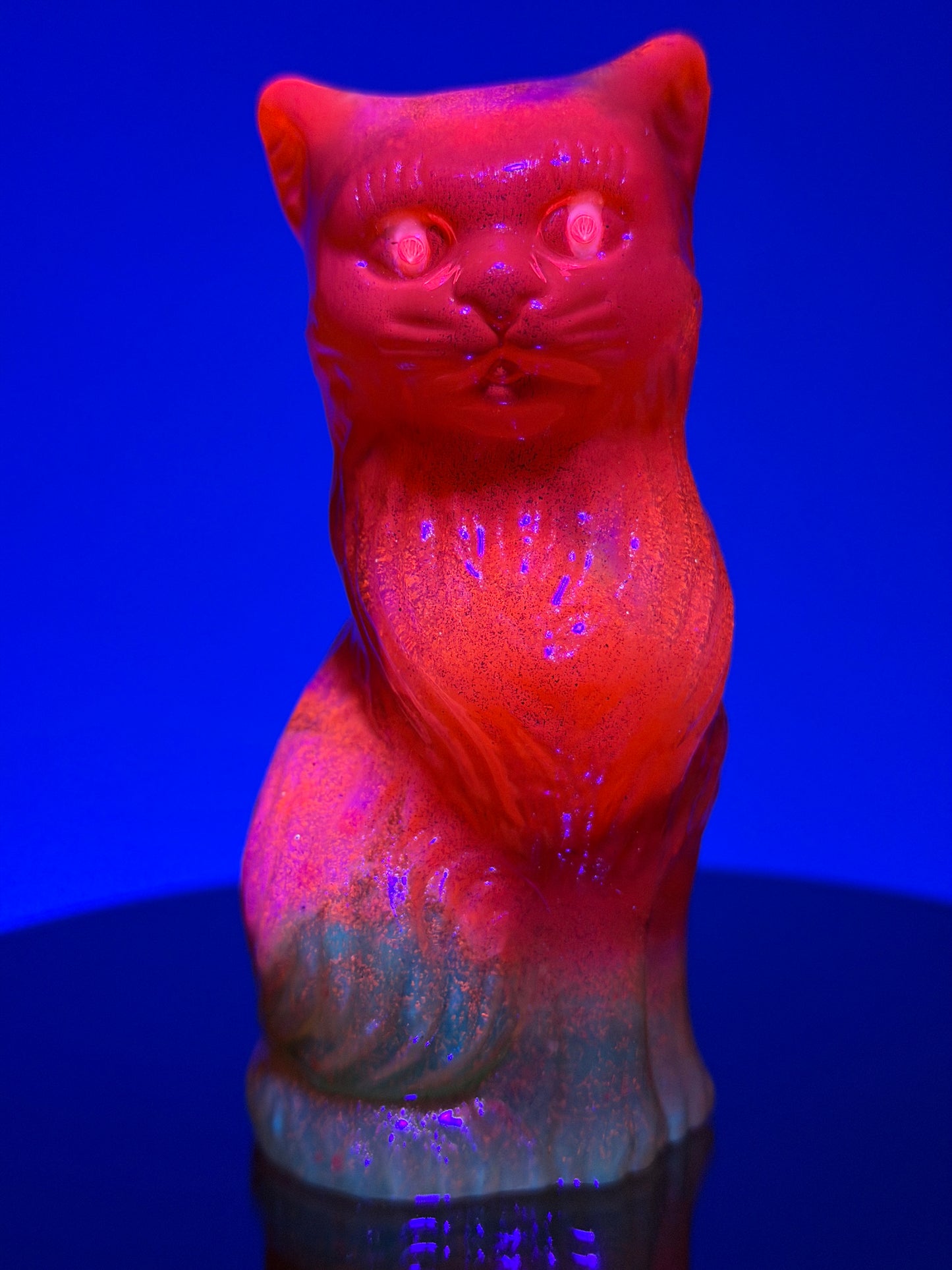 Cat: Glow Eyes Orangeade