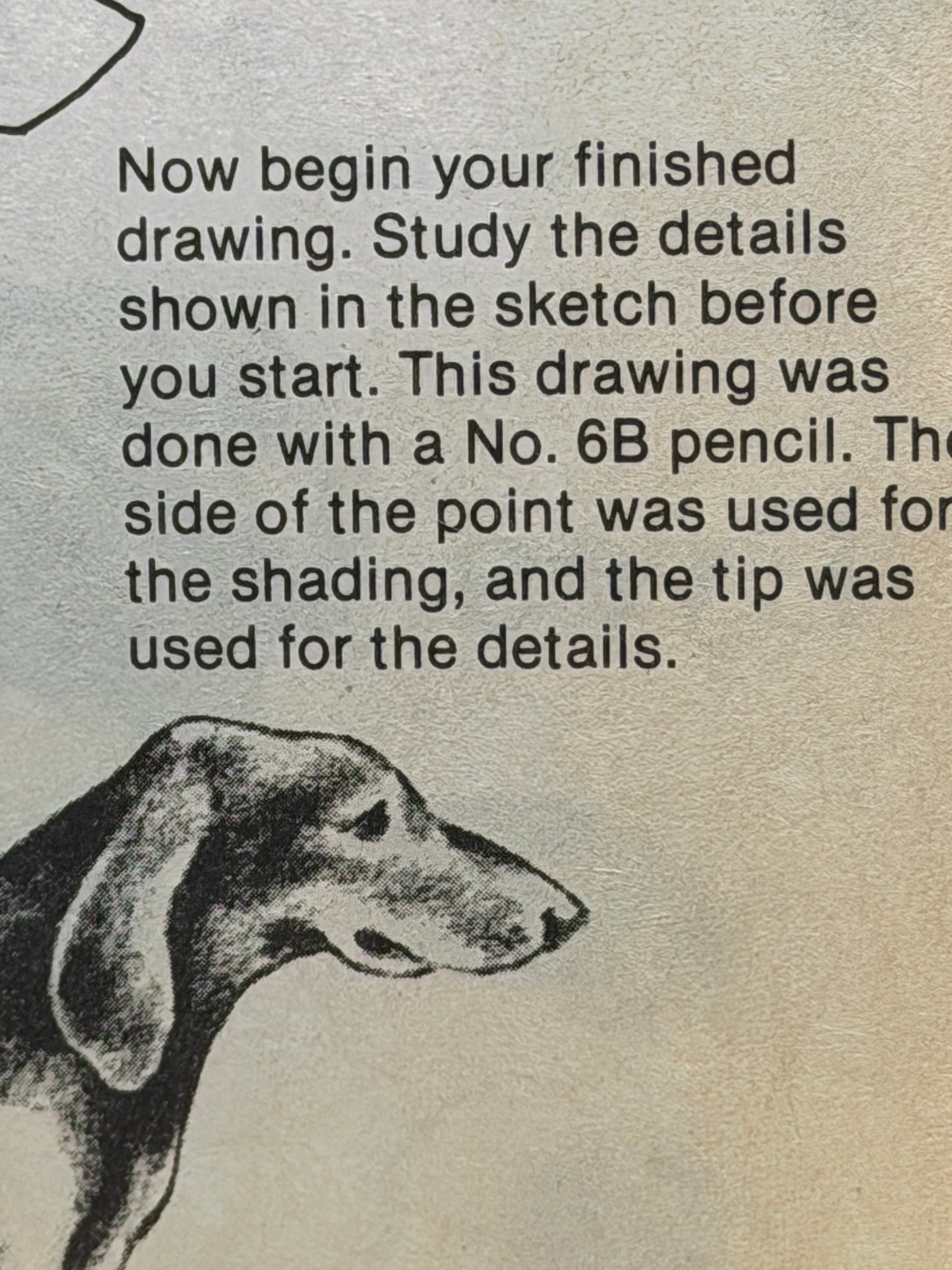 (How to Draw) Dachshund