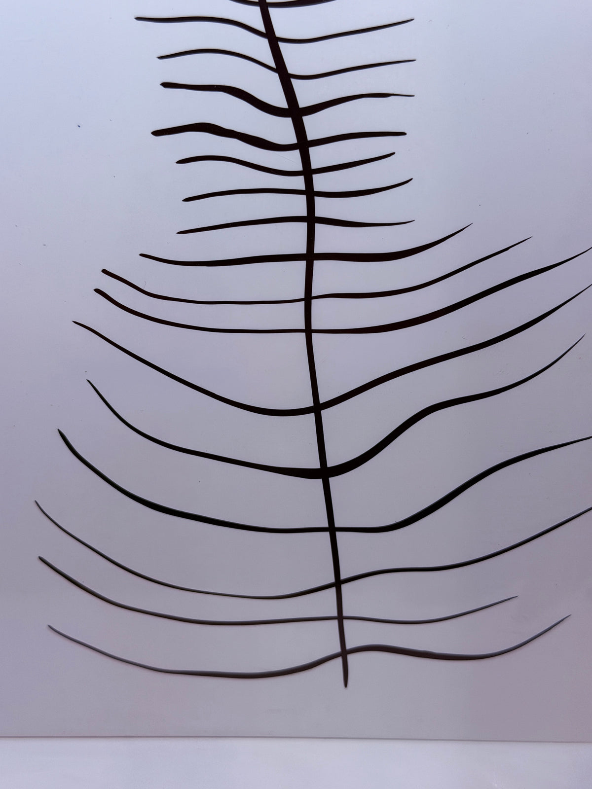 Firmly Planted