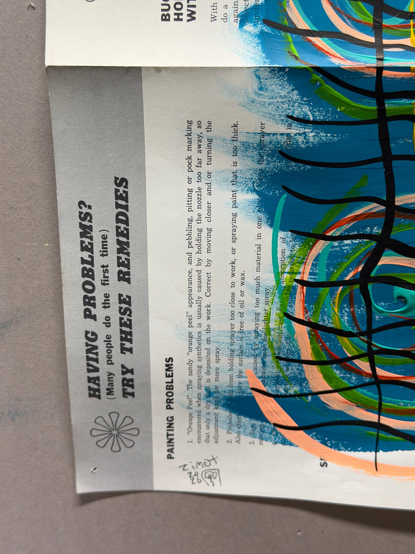 Paint Sprayer Instructions 01934-4
