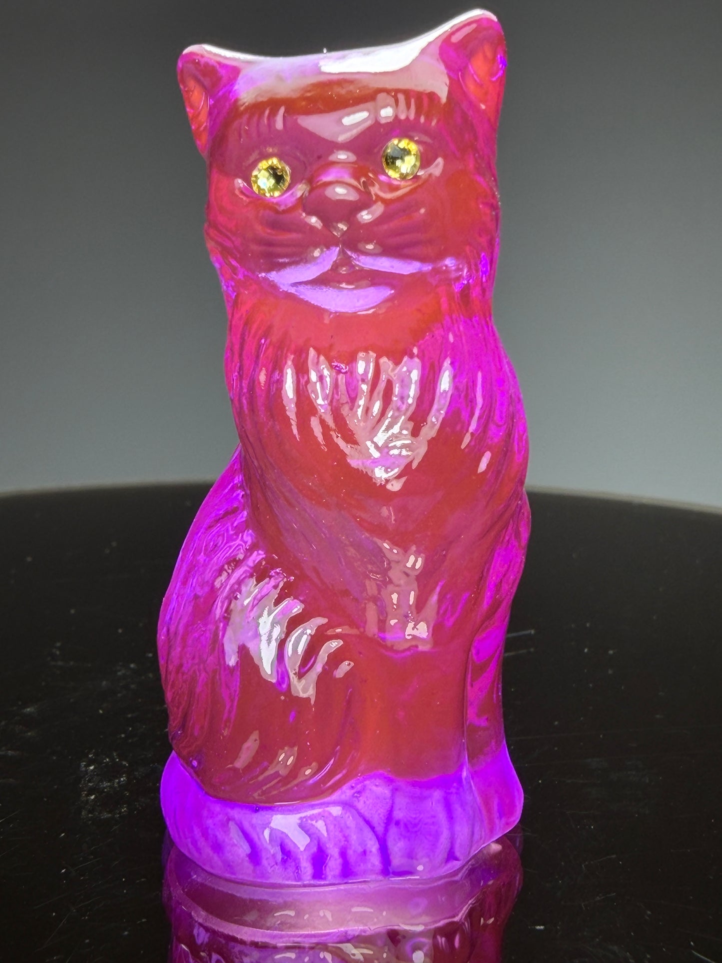 Cat: Rainbow Choice