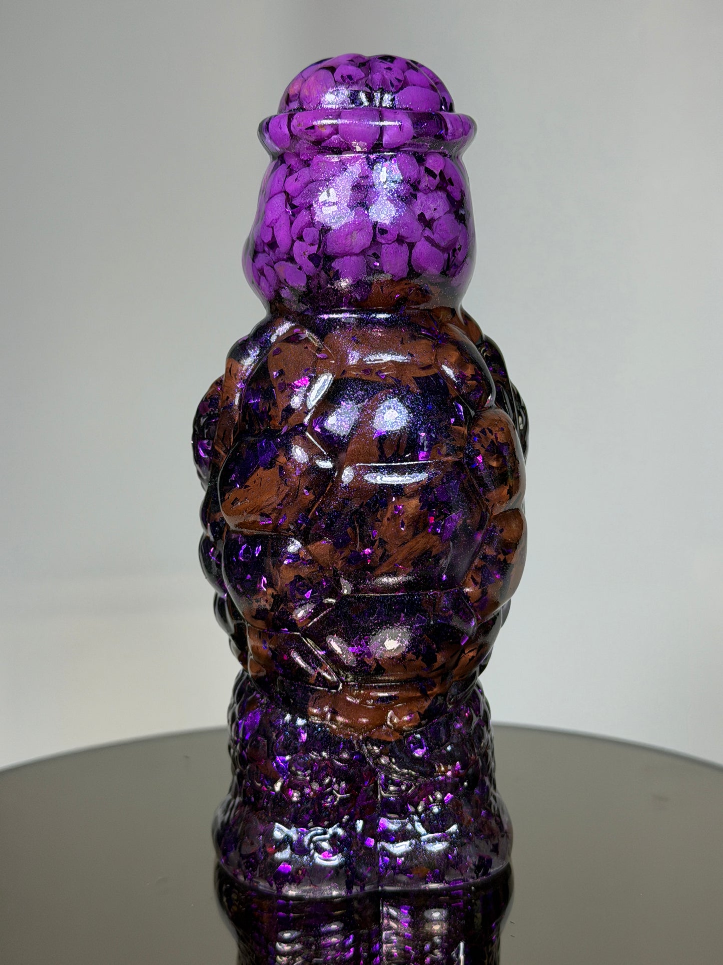 Turtle Pal: Purple w/ Rocks