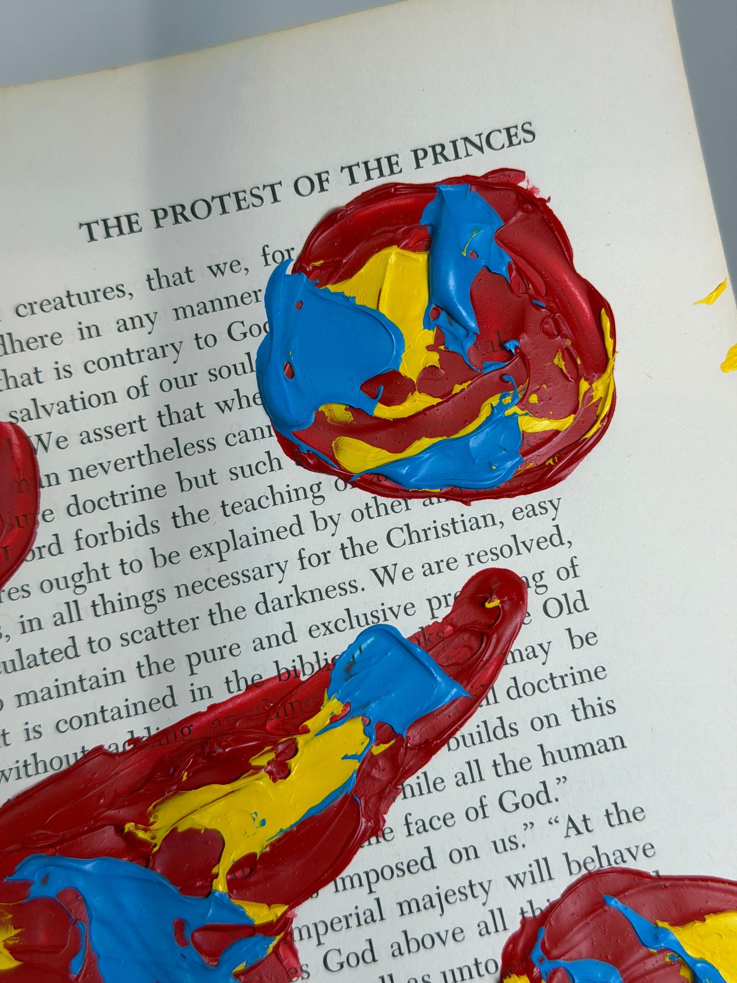 The Protest of the Princes (67)