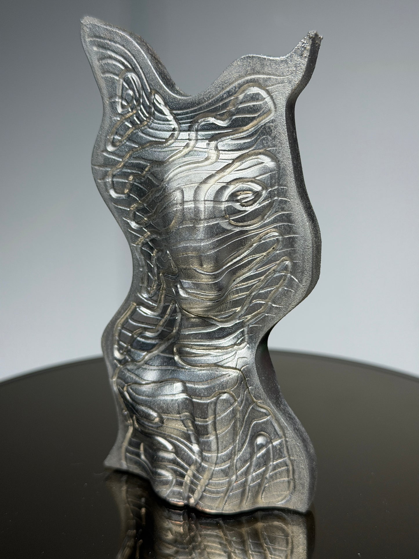 Hard Edge Soft (Portrait): Chrome Plated Vesperant