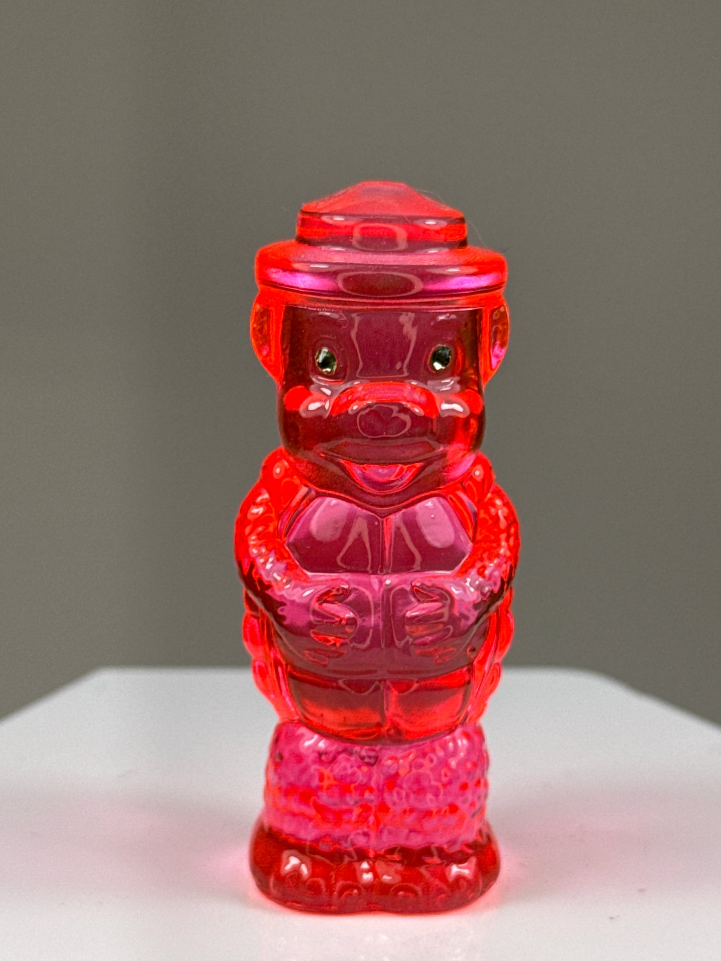 Bear Turtle: Rainbow Choice