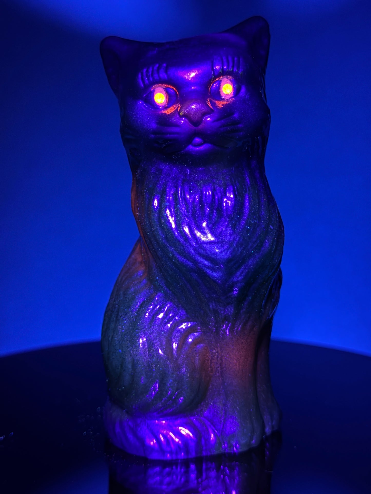 Cat: Glow Eyes Graft