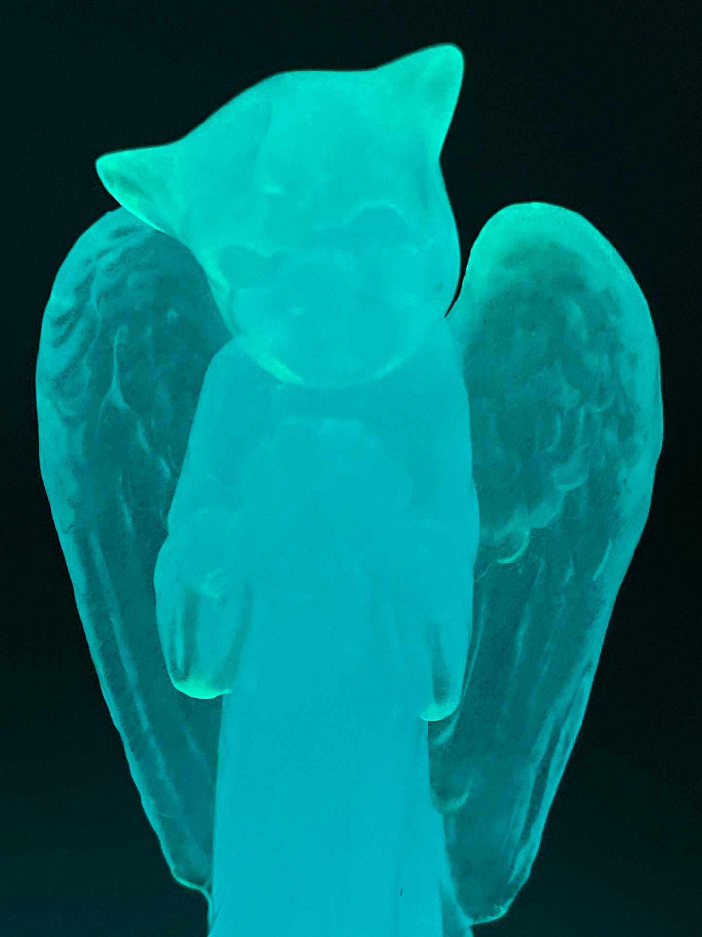 Angel Pig: Glowing for Purity/Redemption
